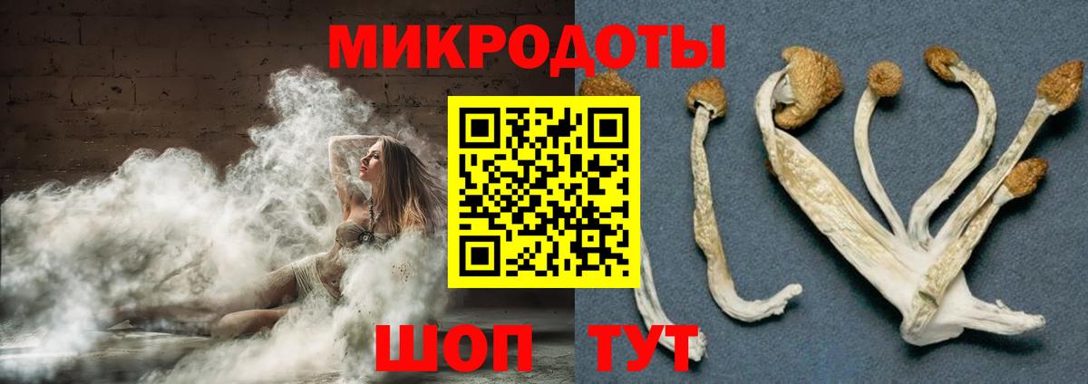 Псилоцибиновые грибы ЛСД Канаш