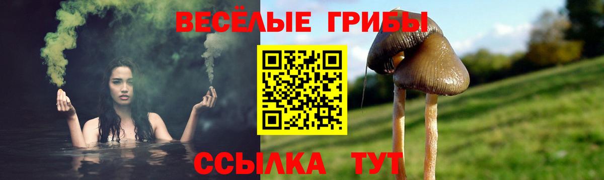 где продают наркотики  Псилоцибиновые грибы Magic Shrooms  Вход с VPN  Канаш 